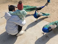 -秦皇岛野生动物园