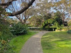 -EG Waterhouse Camellia Gardens Sutherland Shire