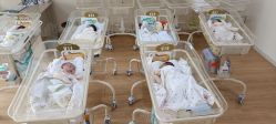 -宝媛会月子中心(越秀店)