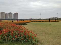 -映月湖中央公园