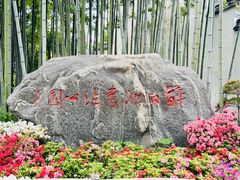 -上海醉白池公园
