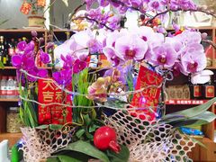 -红旗山庄(圭峰山店)