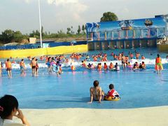 -海盗传奇水世界