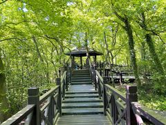 -宝岩生态观光园