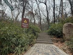 -紫金山天文台