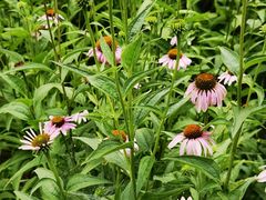 -森林公园(尖草坪区)