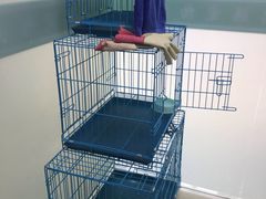 -圣宠动物医院·犬猫专科·影像中心·外科中心