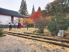 -南通博物苑-崇川人民公园