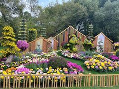 -上海共青森林公园