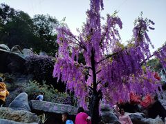 -古龙峡云天玻霸