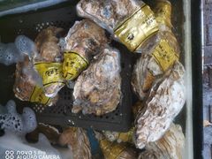 -桔子海鲜烧烤大排档(台东店)