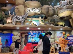 -卡通尼·Safari非洲探索乐园·生日会(金桥国际商业广场店)
