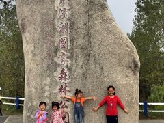 -合肥滨湖国家森林公园