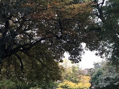 -卢森堡公园