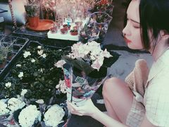 -桂林市花鸟市场