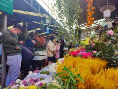 门庭若市-曲阳花鸟市场(曲阳路店)