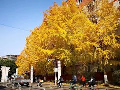 -西南交通大学(九里校区)