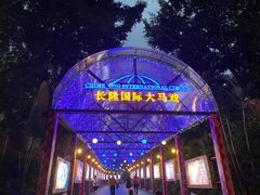 -广州长隆国际大马戏