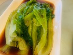 -金鼎轩(方庄天坛店)