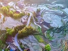 -紫鹊界梯田景区