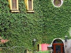 -三鹰之森吉卜力美术馆