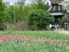 -长春公园(普阳街道)