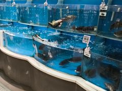 -7fresh七鲜(大族广场店)