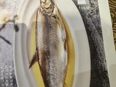 -南京精菜馆(金汇大酒店分店)