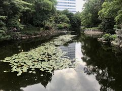 -叶家花园