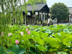 -尚湖风景区