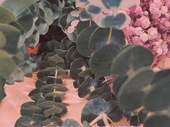 -溪岸路花鸟市场
