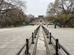 -北陵公园