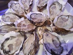 -千岛蚝高压锅生蚝·人参火锅(白云万达店)