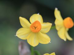 -国家植物园南园