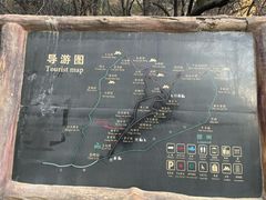 -王顺山国家森林公园