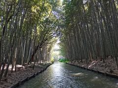 -同里国家湿地公园