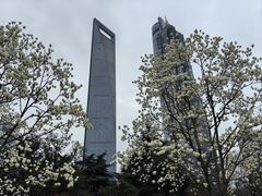 -陆家嘴中心绿地