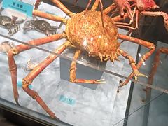-天津自然博物馆