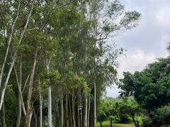 -福建鲤鱼洲酒店