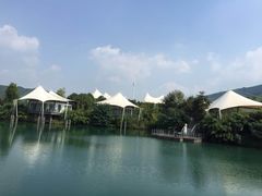 -帐篷客·溪龙茶谷度假酒店