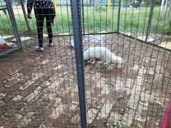 -武汉紫薇都市田园