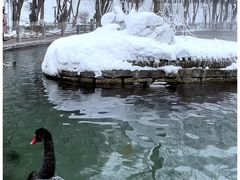-水磨沟公园