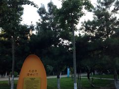 -前关湿地公园