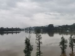 -美的鹭湖森林度假区
