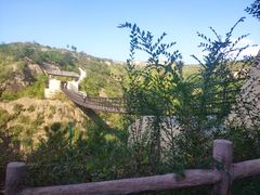 -五龙城郊森林公园