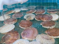 -兆辉木炭海鲜烧烤·海鲜小炒