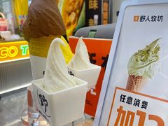 -野人先生现做冰淇淋(西安赛格店)