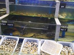 -常家活海鲜小吃(仅一家无分店)