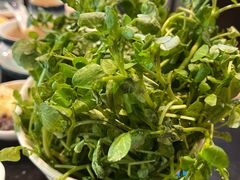西洋菜-丫丫汤膳打边炉(宏府408坊店)