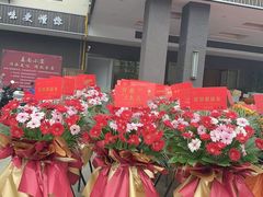 -淘花源花艺鲜花店 开业花篮 绿植(南部商务区店)